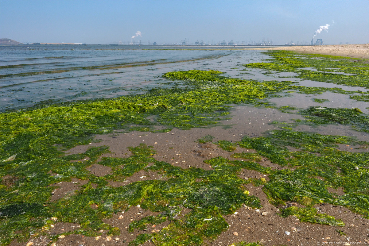 Rondom NL - Noordzeepad: Rockanje - Hoek van Holland